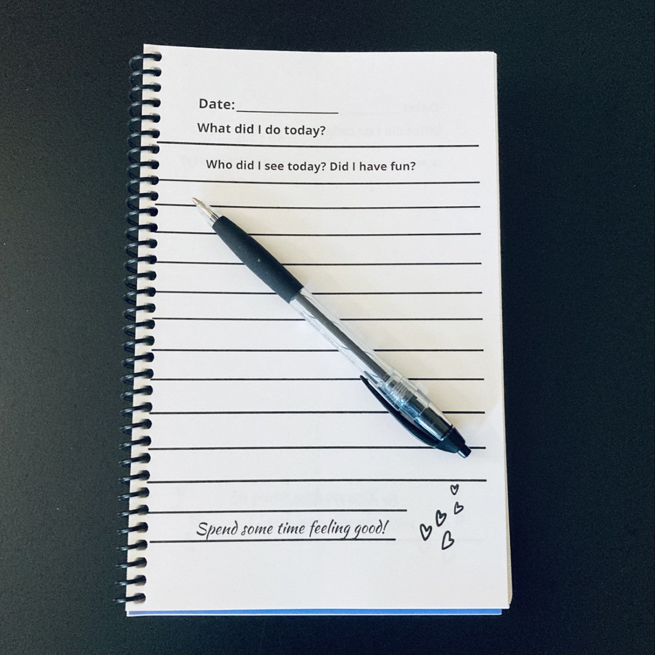 What The Heck Did I Do Today? Journal